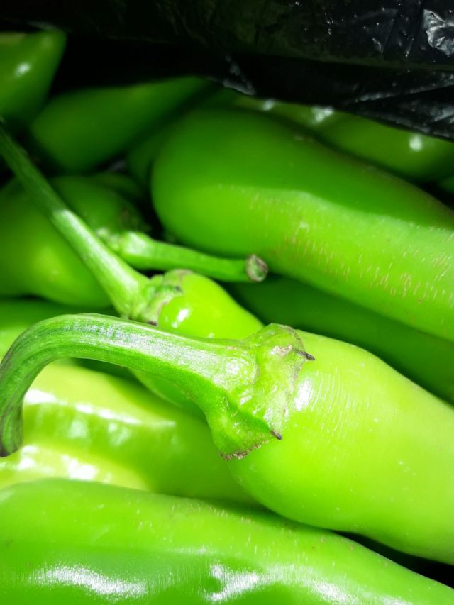 vegetable