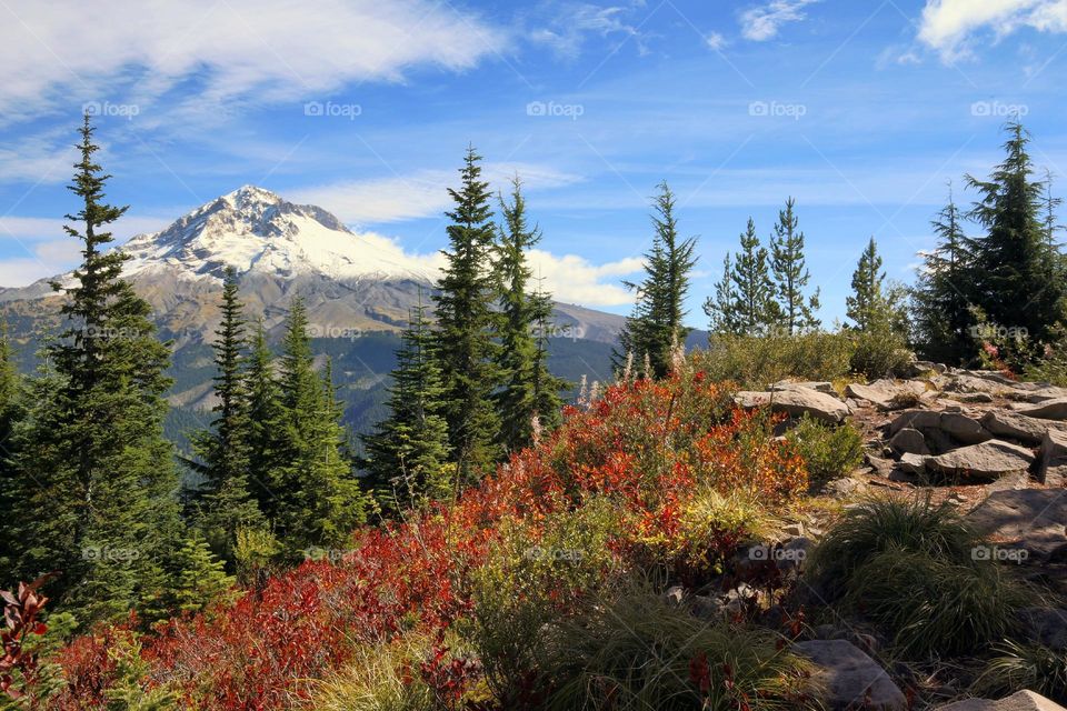 mountains view