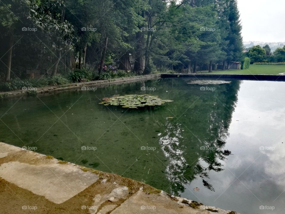 Parque com reflexo de árvores na água