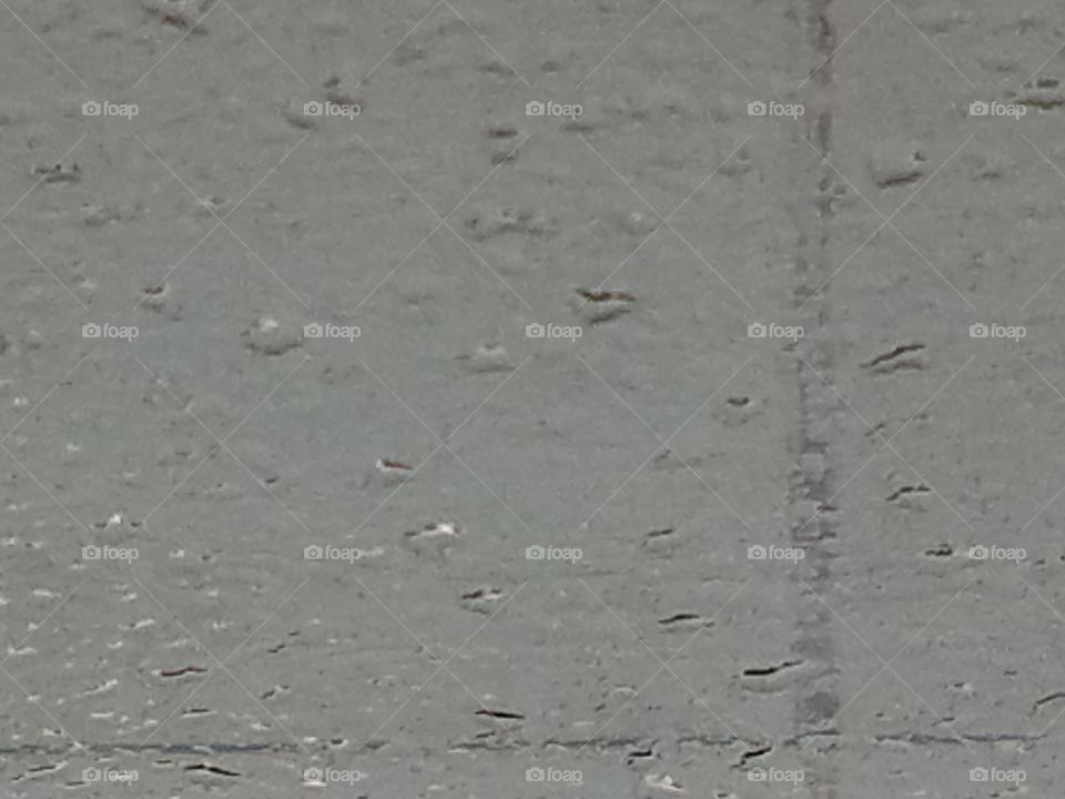 Raindrops on the Windshield
