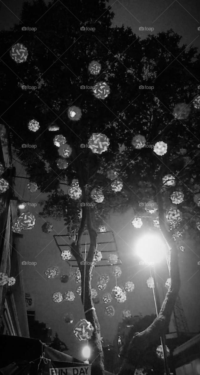 los adornos del árbol con sus luces.