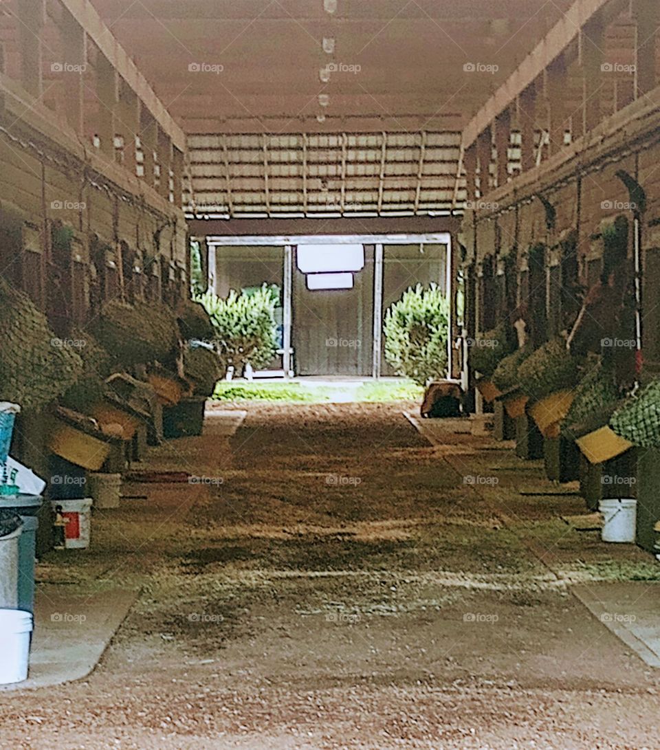 Horse Stall