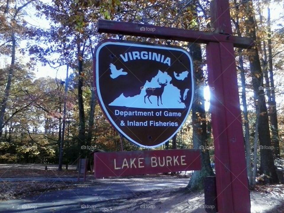 VIRGINIA : Lake Burke ; Deparment of Game. Lake and Park. A lovely stroll through the forest and around the lake. Enjoying nature and all the views.