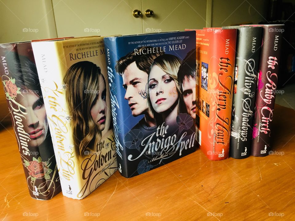 The spin-off of Vampire Academy, Bloodlines, also by Richelle Mead. Another amazing series that I couldn’t get enough of and was sad when it ended. The third book: The Indigo Spell. 
