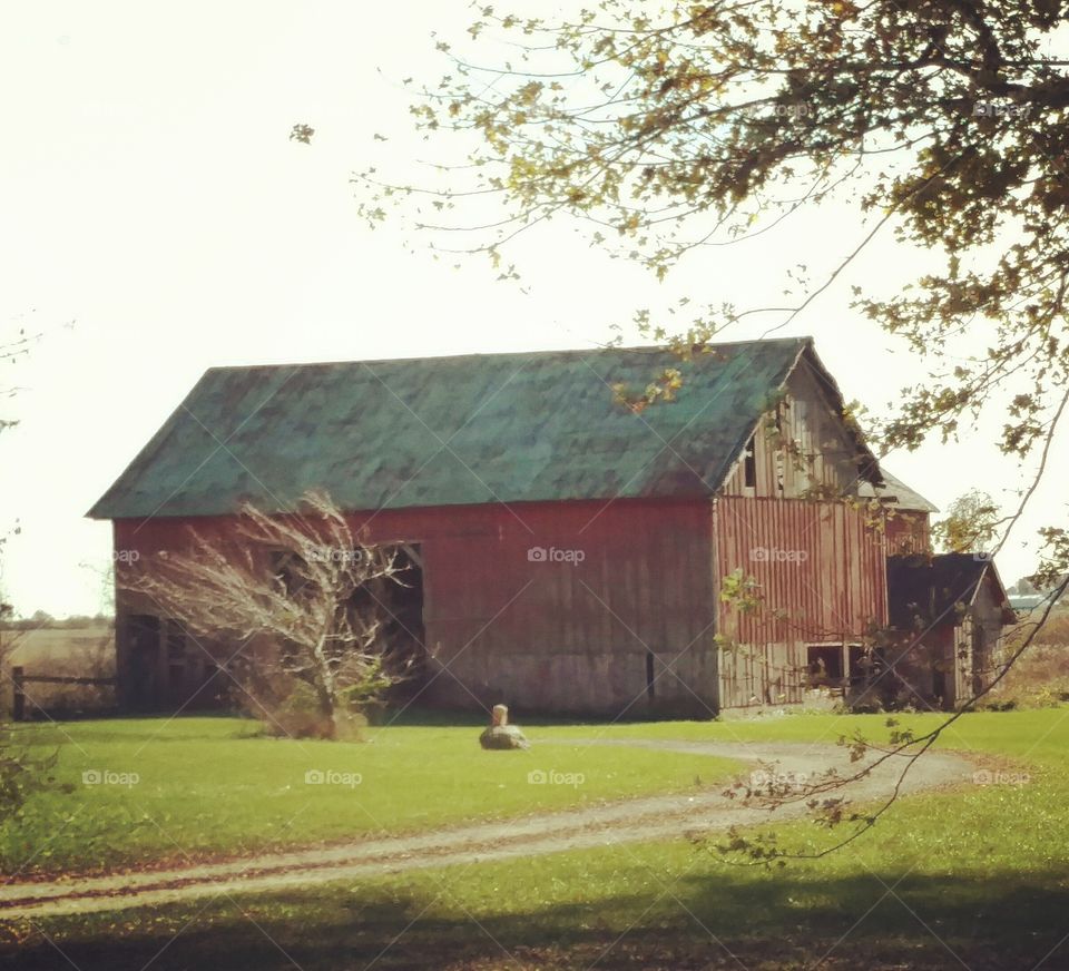 barn