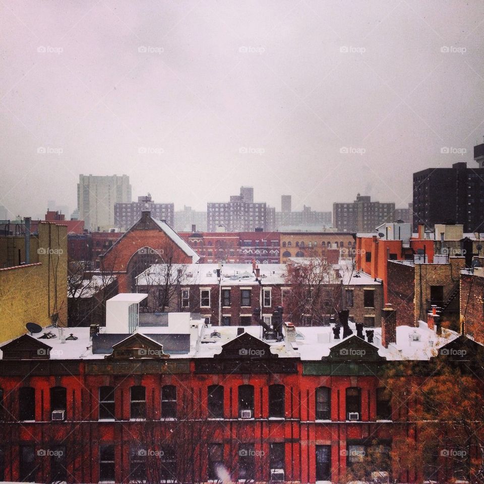 Harlem Winter
