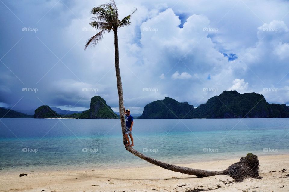 Standing on a coconut tree