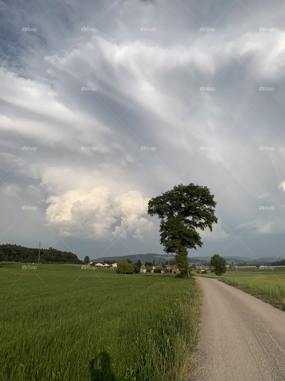 Switzerland 