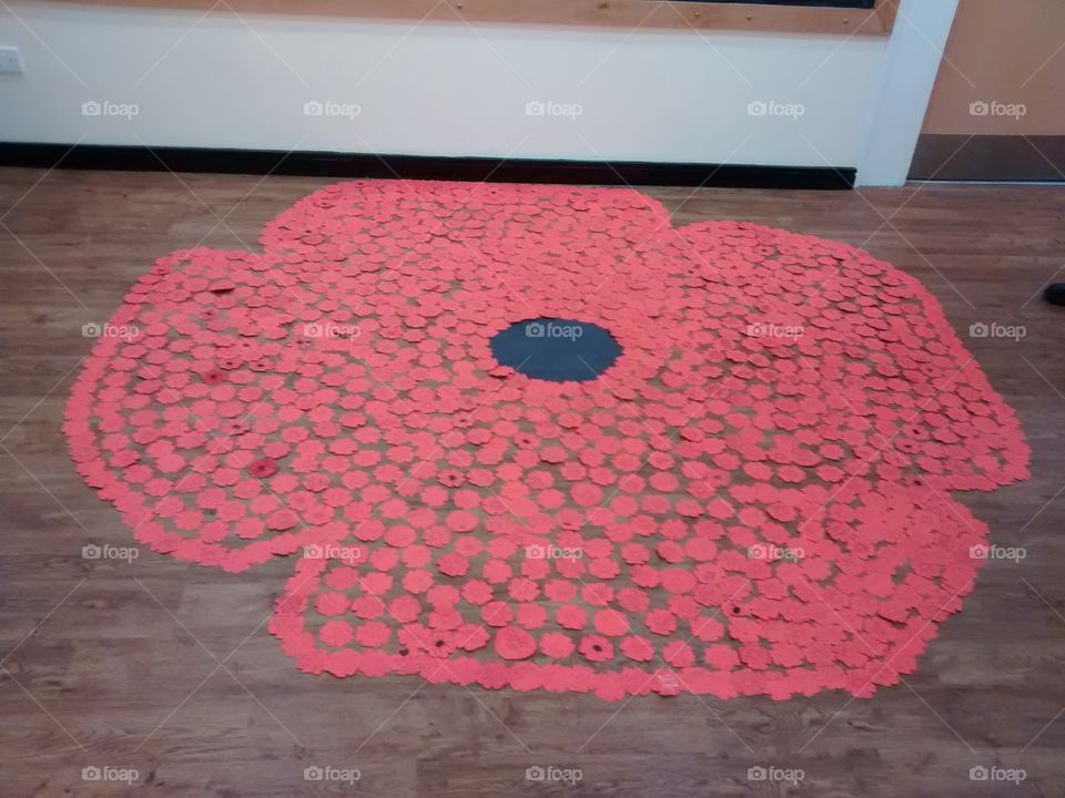A giant poppy I helped to construct for Rememberance Day. The poppy is constructed out of a central black circle, then each of the smaller red circles are individual paper poppies cut out with messages written on every single one.