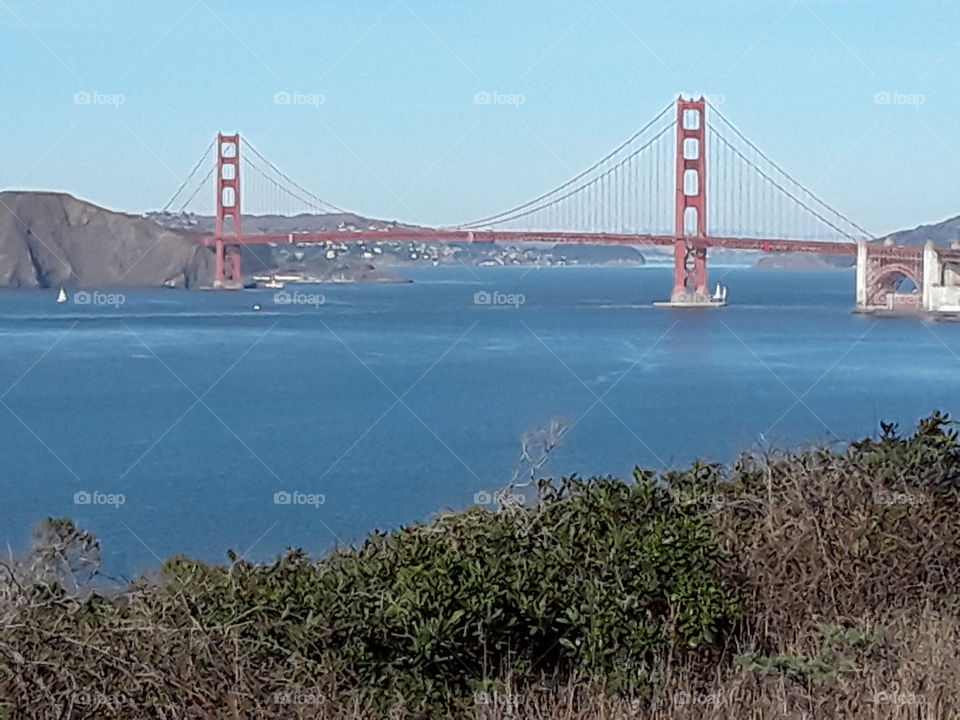 Bridge, Water, Suspension Bridge, Transportation System, Sea