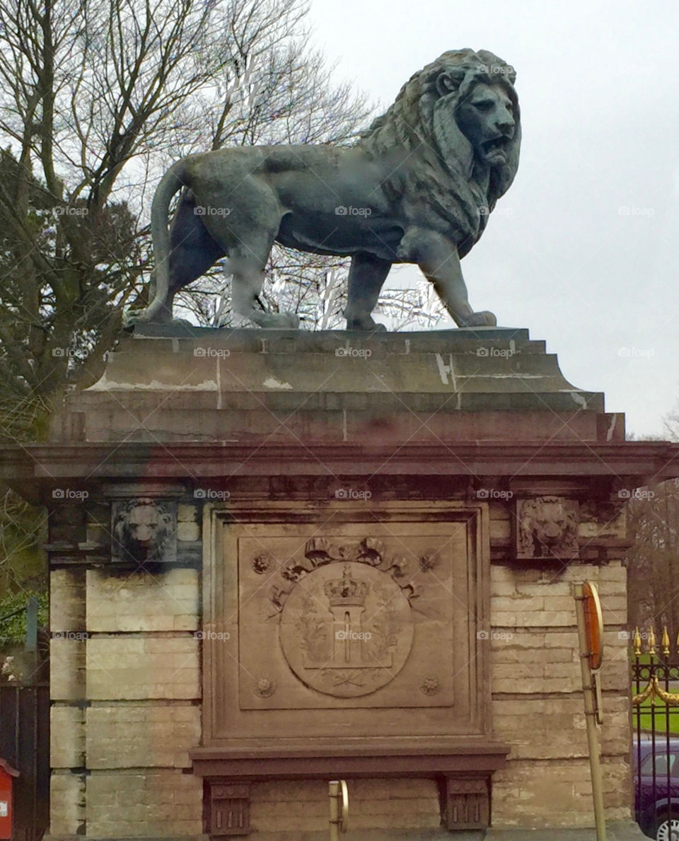 Lion Statue 