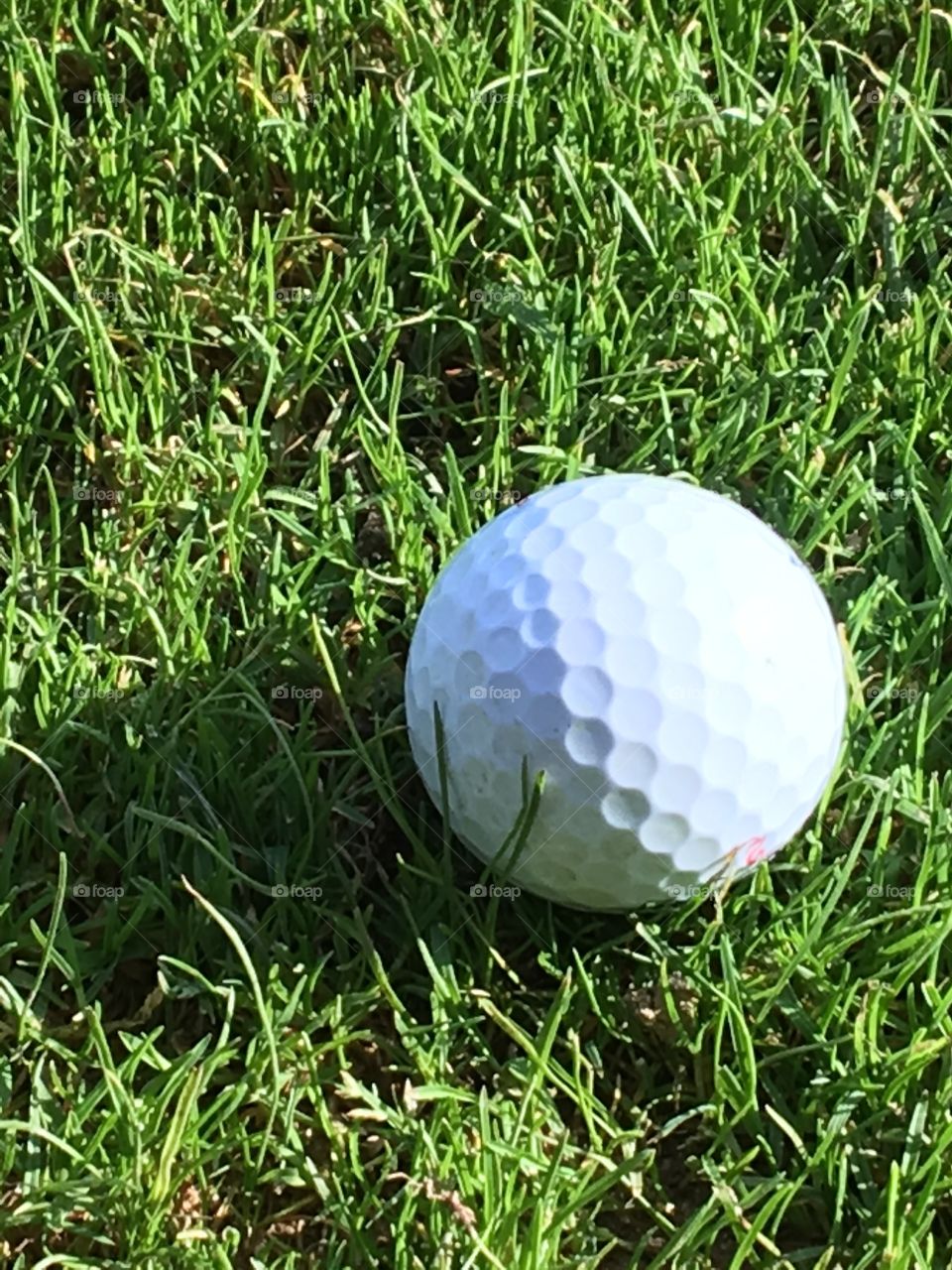 White golf ball in grass