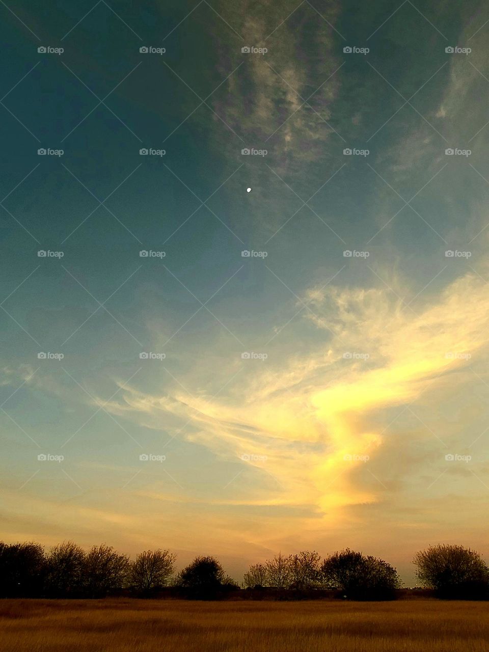 Sunrise over south Texas field