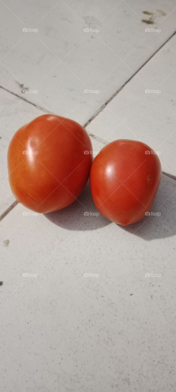 vegetable red colour tomato