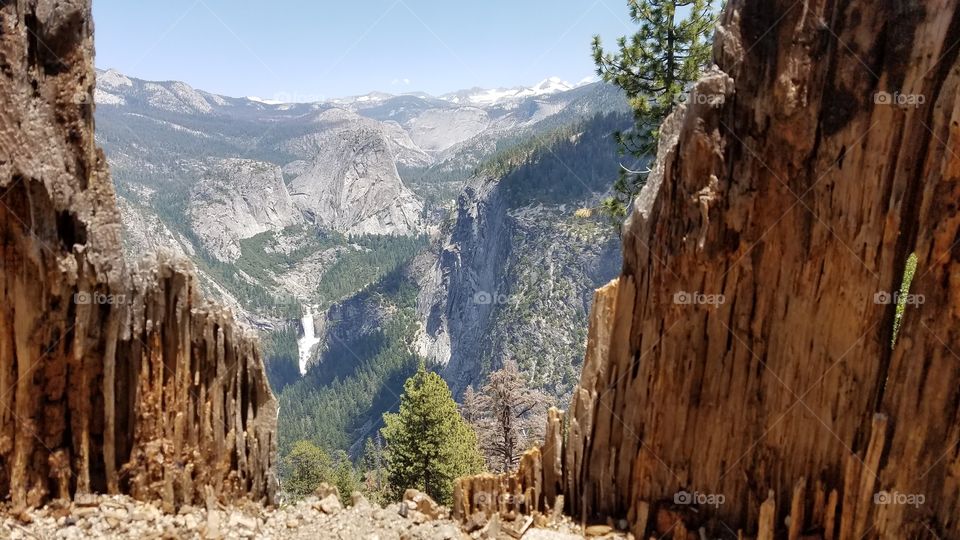 View through rotten tree