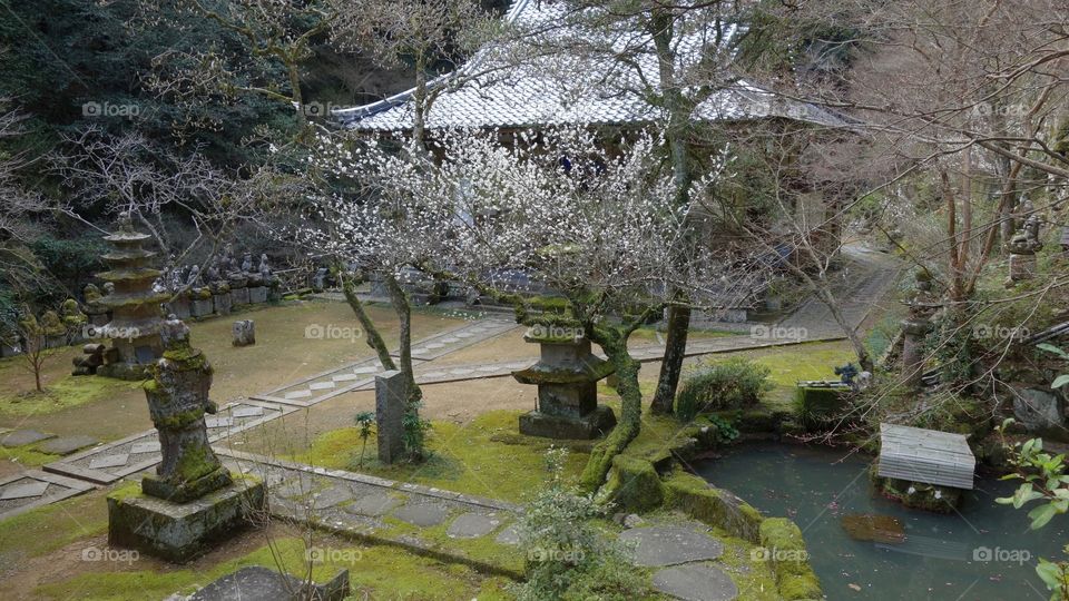 Japan temple