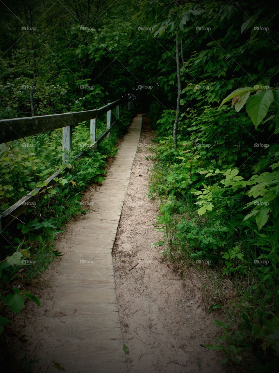 Empire Bluffs
Michigan 