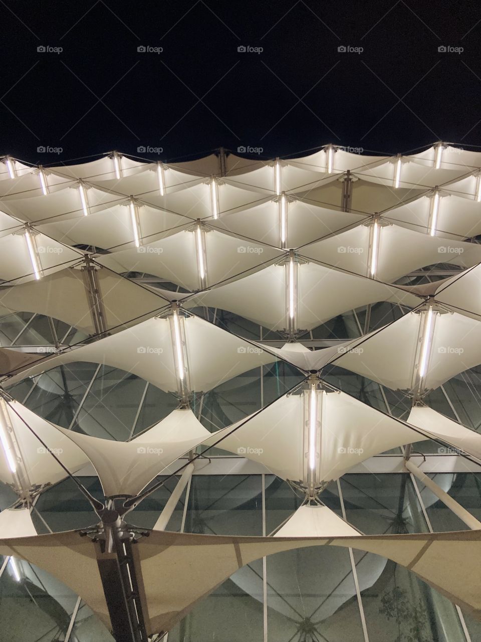 The fahad national library