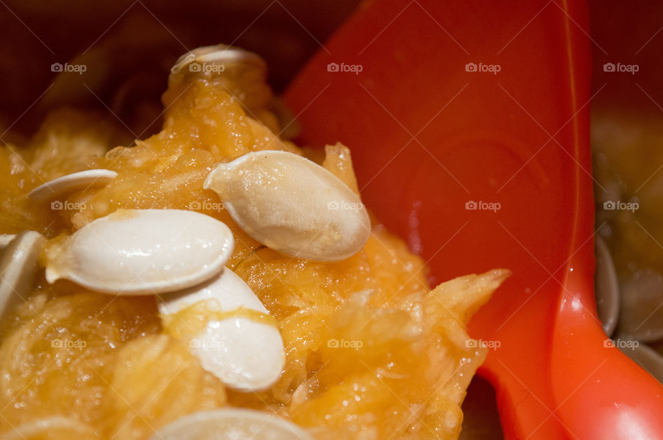 Pumpkin carving activity scooping pumpkin seeds and pulp out of fresh autumn harvest pumpkin to make jack o’lantern with pumpkin carving scoop tool