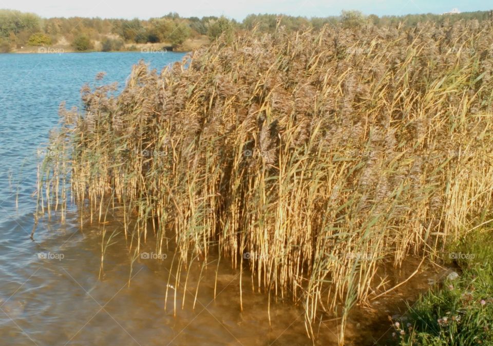 Water, Nature, Landscape, No Person, Outdoors