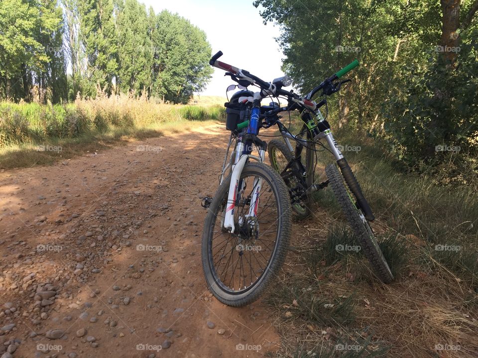 Bikes and friends