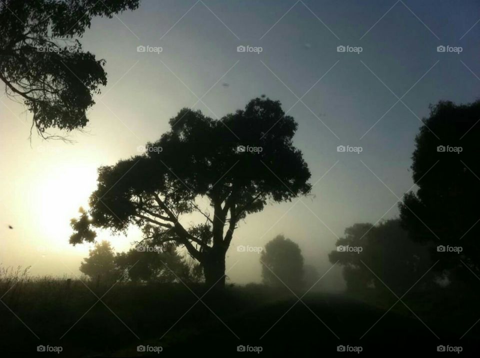 The chill seeps into your bones, and you know there's something following you. But the beauty of the promising light is too much to resist. Keep walking. You'll be there soon.