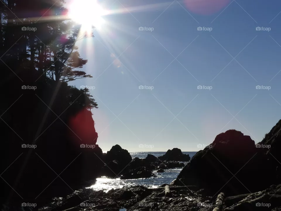 Ocean