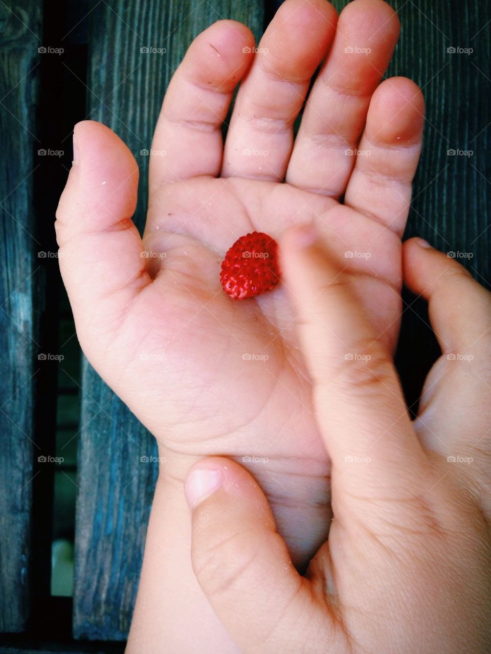 Wild strawberry 