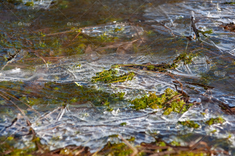 The first sign of spring. Spring ice