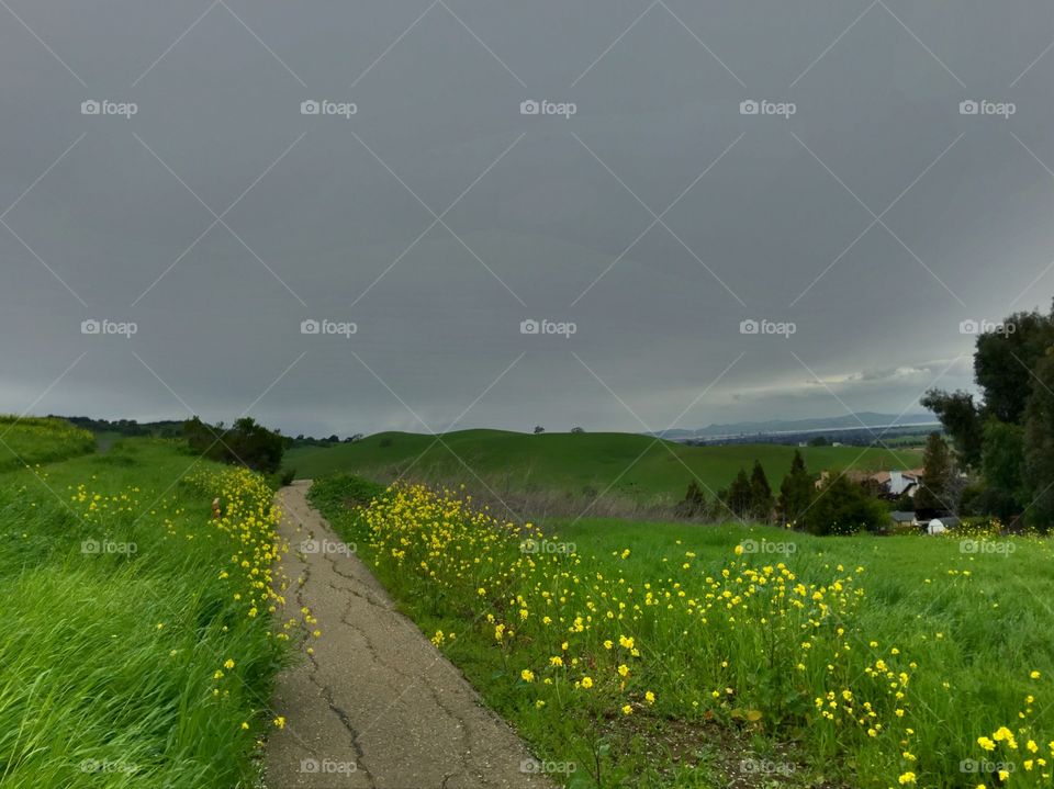 Spring is on its way!