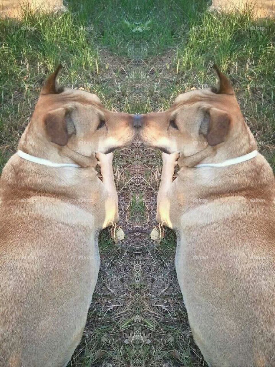 maggie mirror