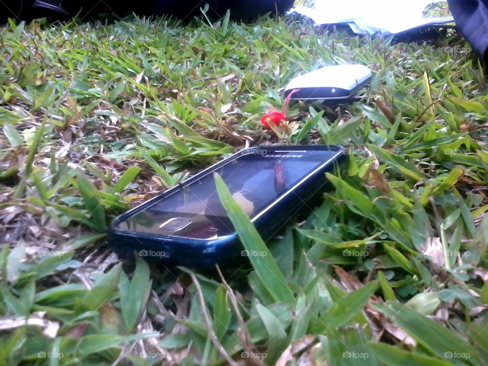 phone on the grass