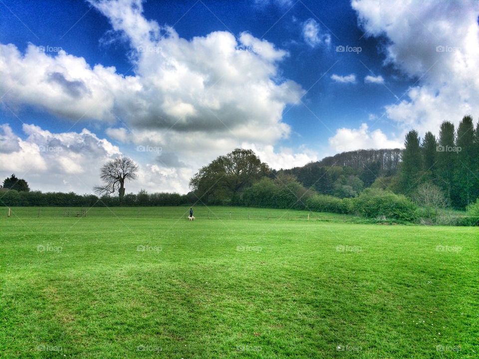 High angle view of landscape