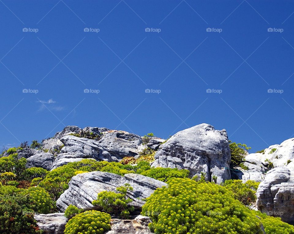 Boulder Mound