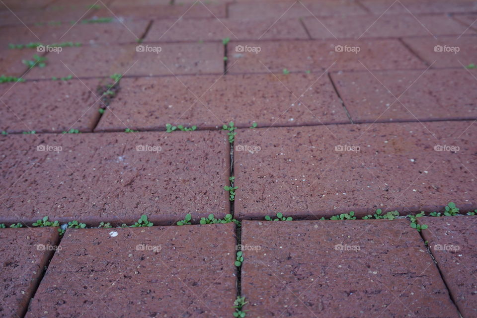 Create for backgound