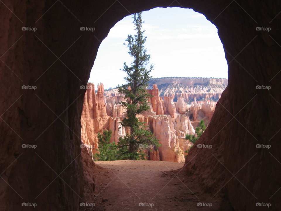 Bryce Canyon through doorway