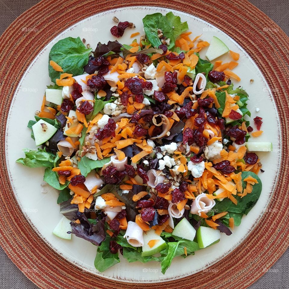 High angle view of salad on plant