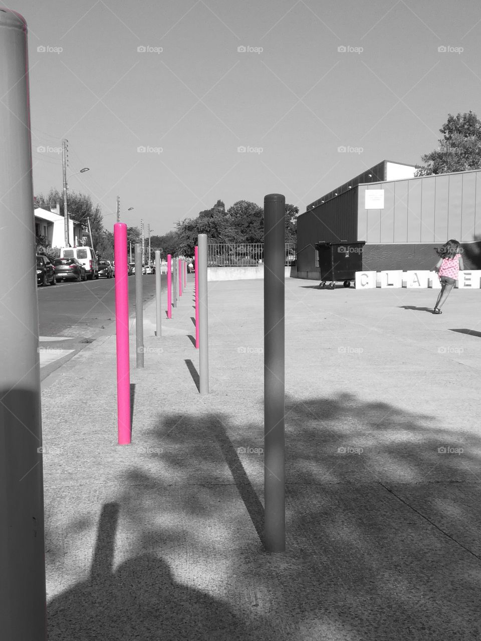 couleur, rose, color, rose