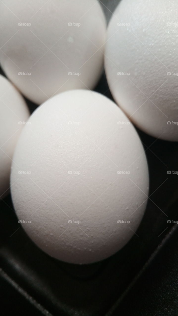 eggs
