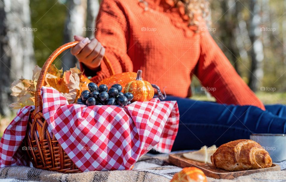 picnic in the park