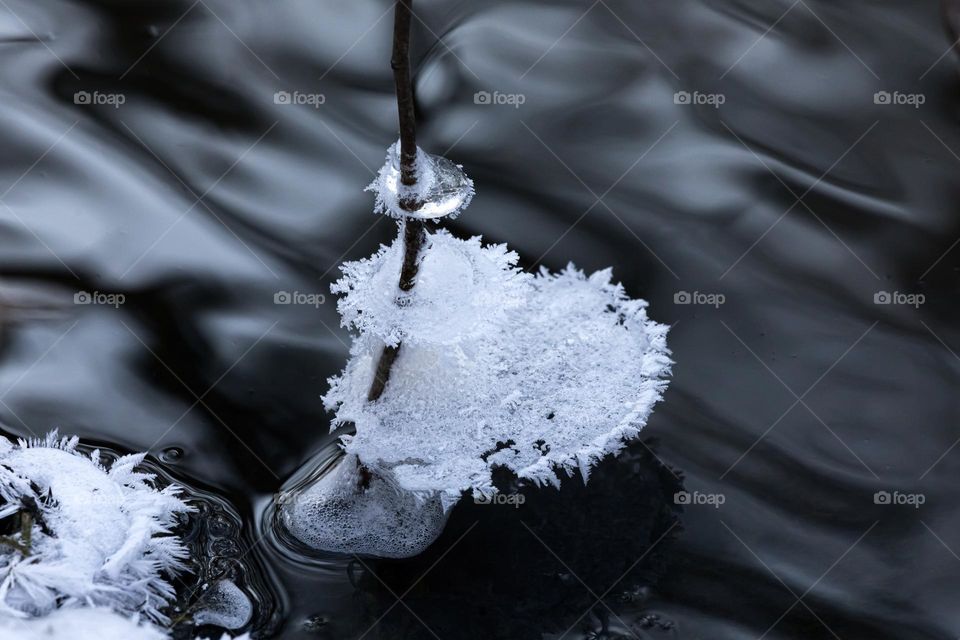 Ice formations with frost in several levels on a tree branch reaching the dark strong soft water in the stream 