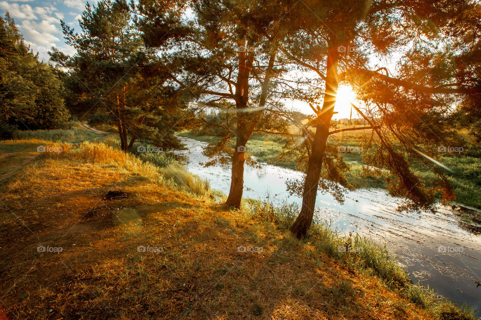 Autumn landscapes at sunny day 