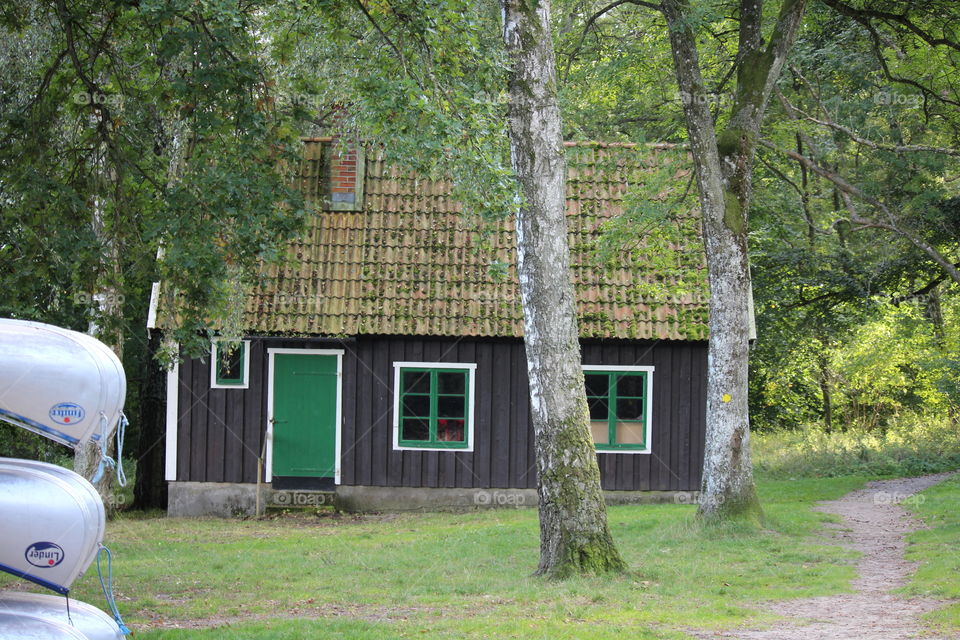 Nice view on barbecue