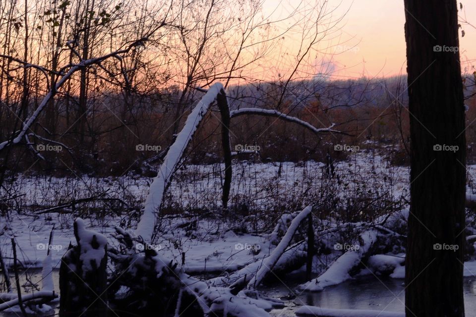 Snow on the ground In Missouri swampland