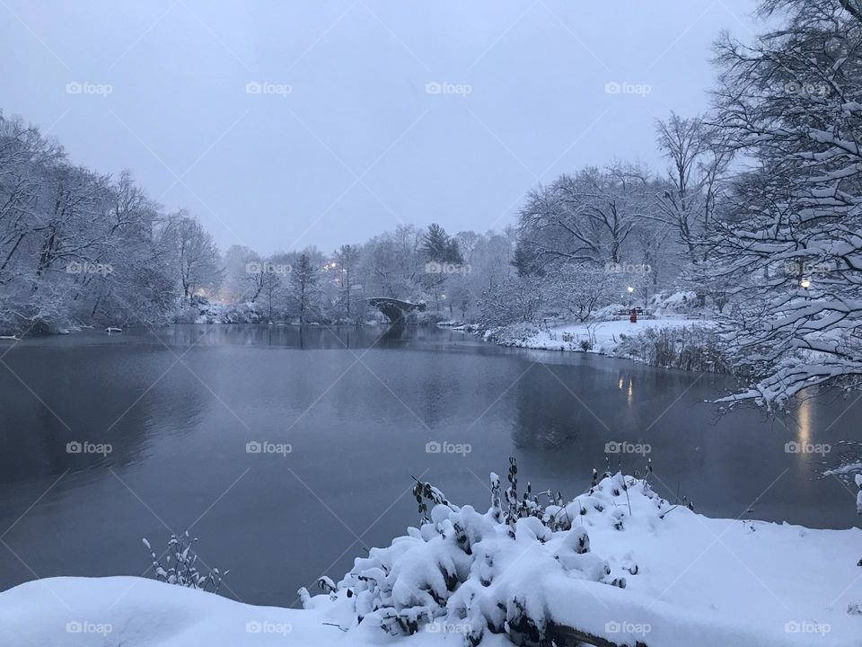 Snowy pond 