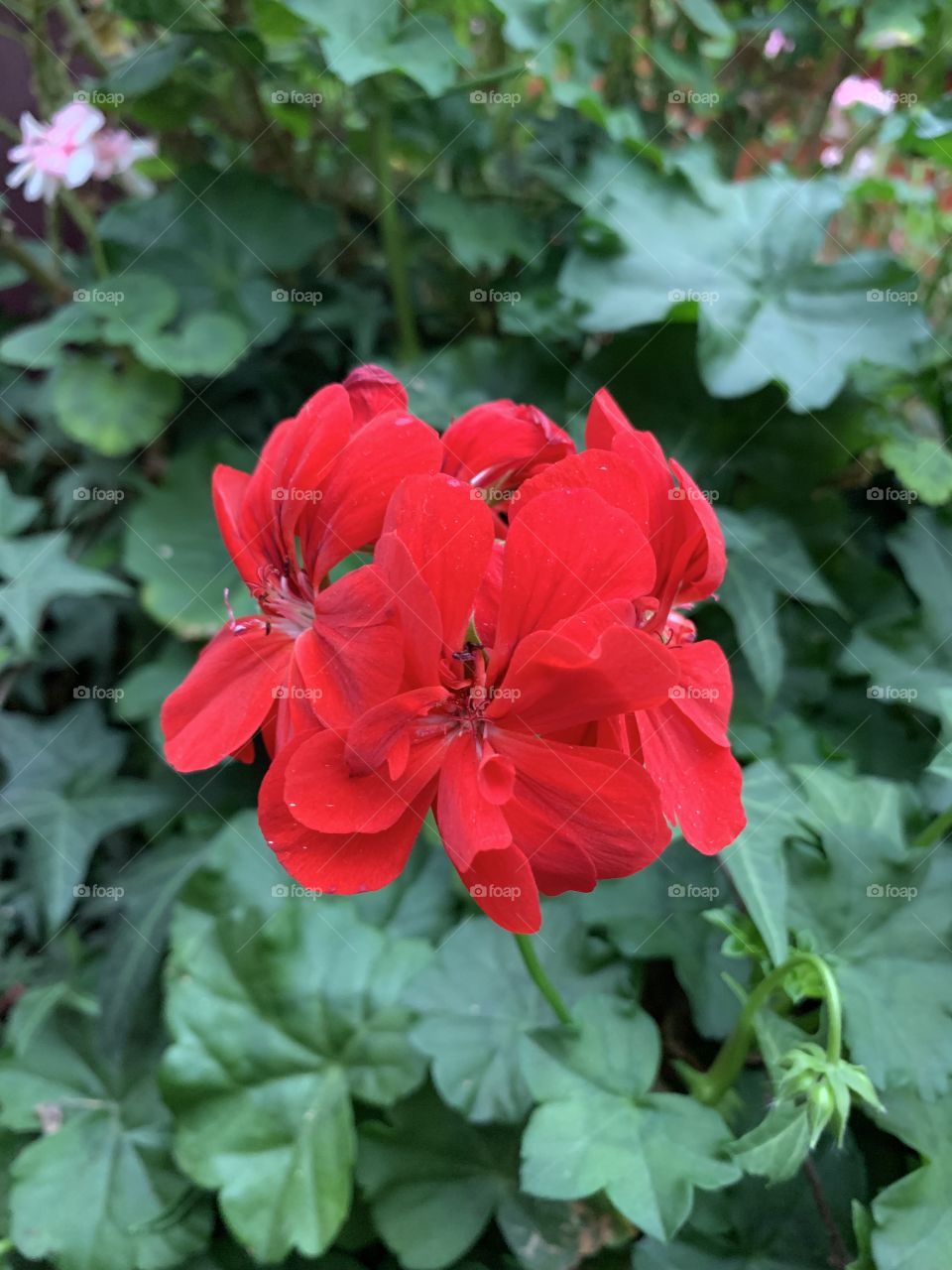 Gardens By The Bay