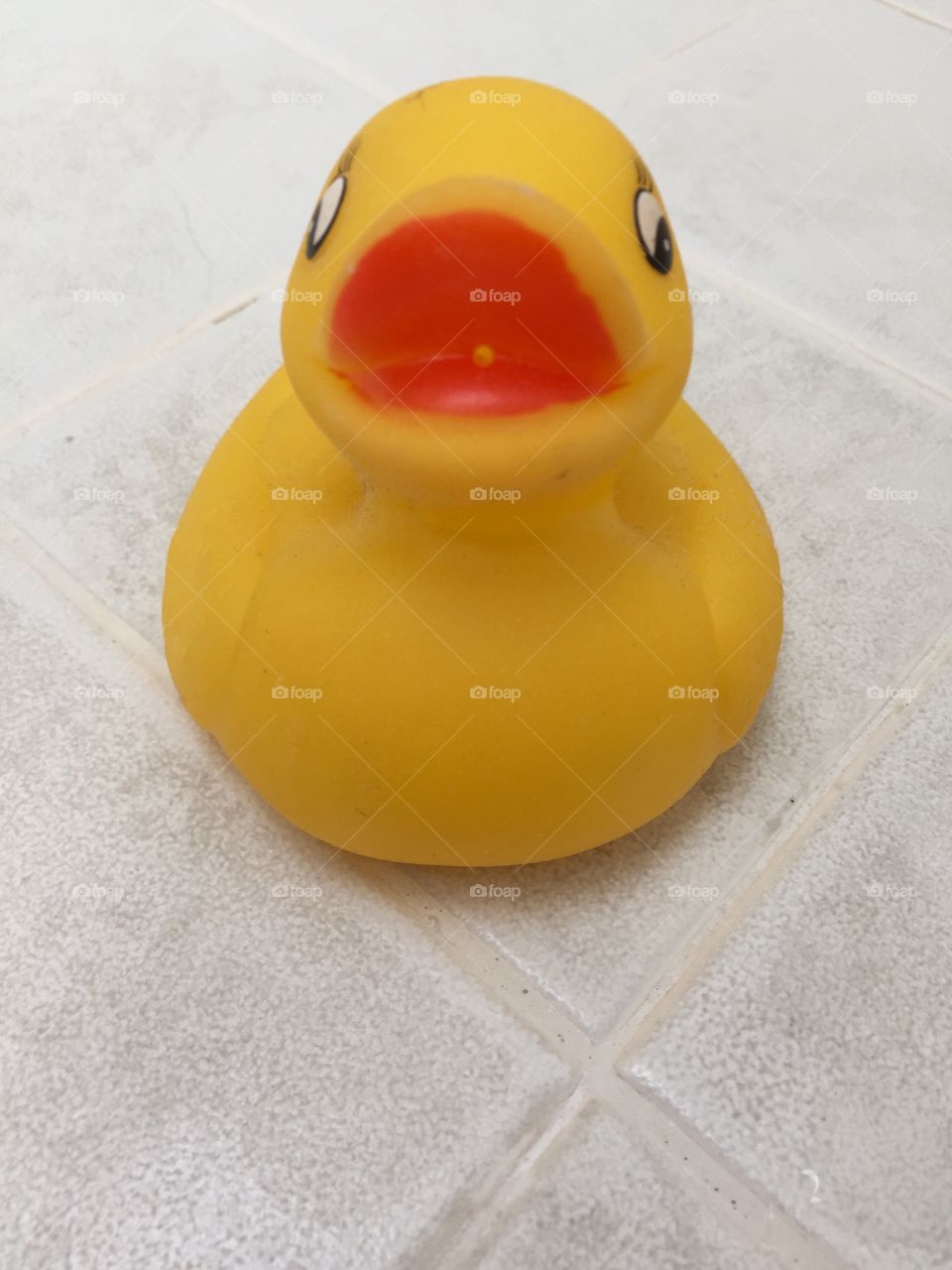 My duck