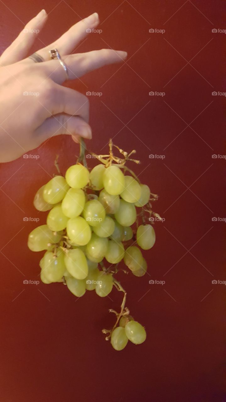 grapes of wrath