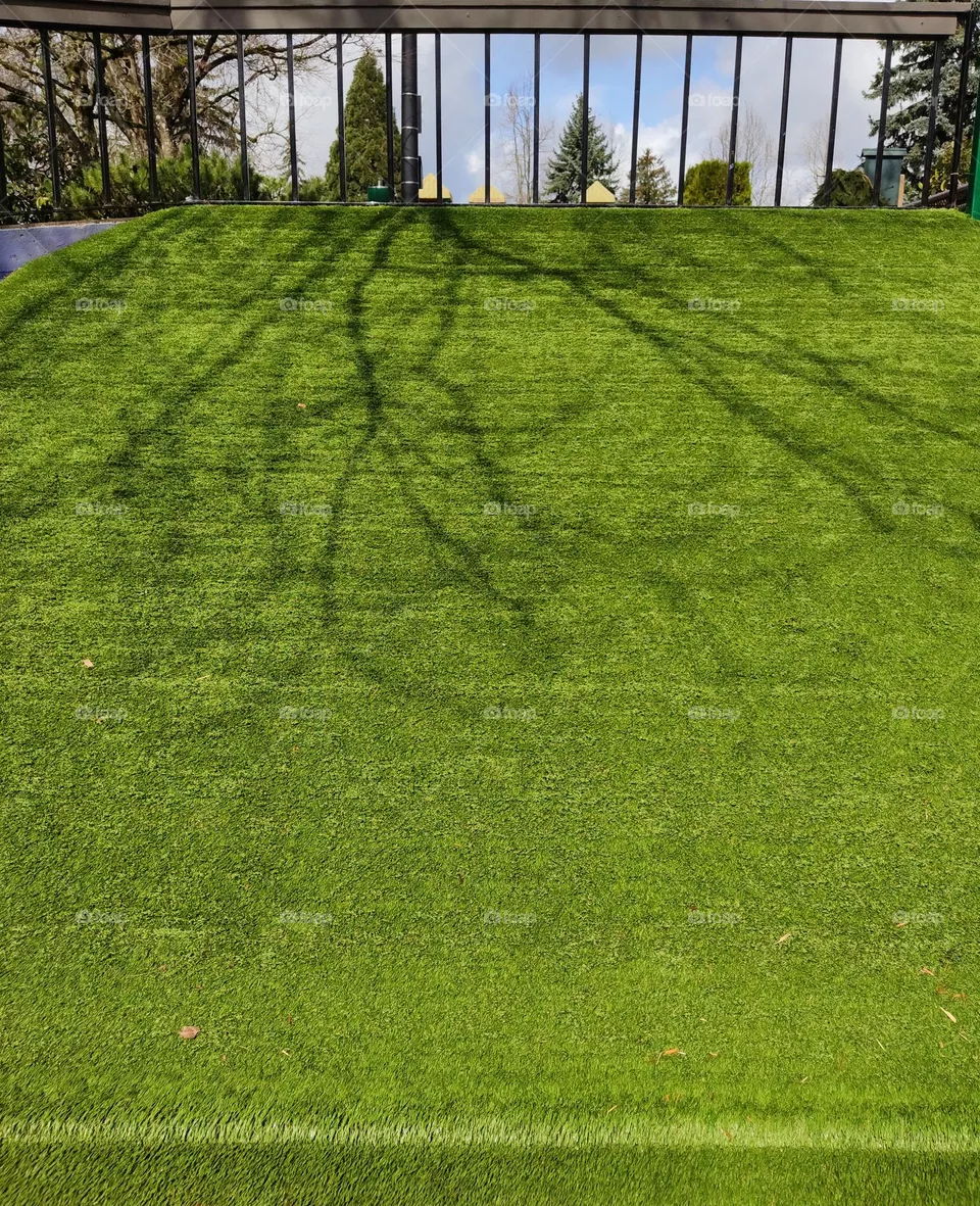 shadow