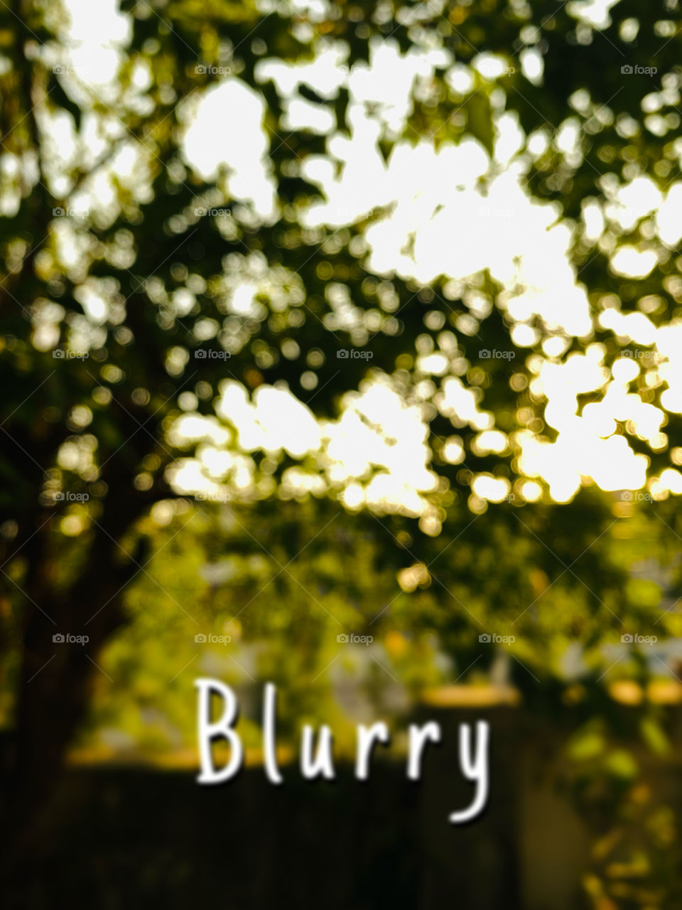 When life gets blurry, adjust your focus.